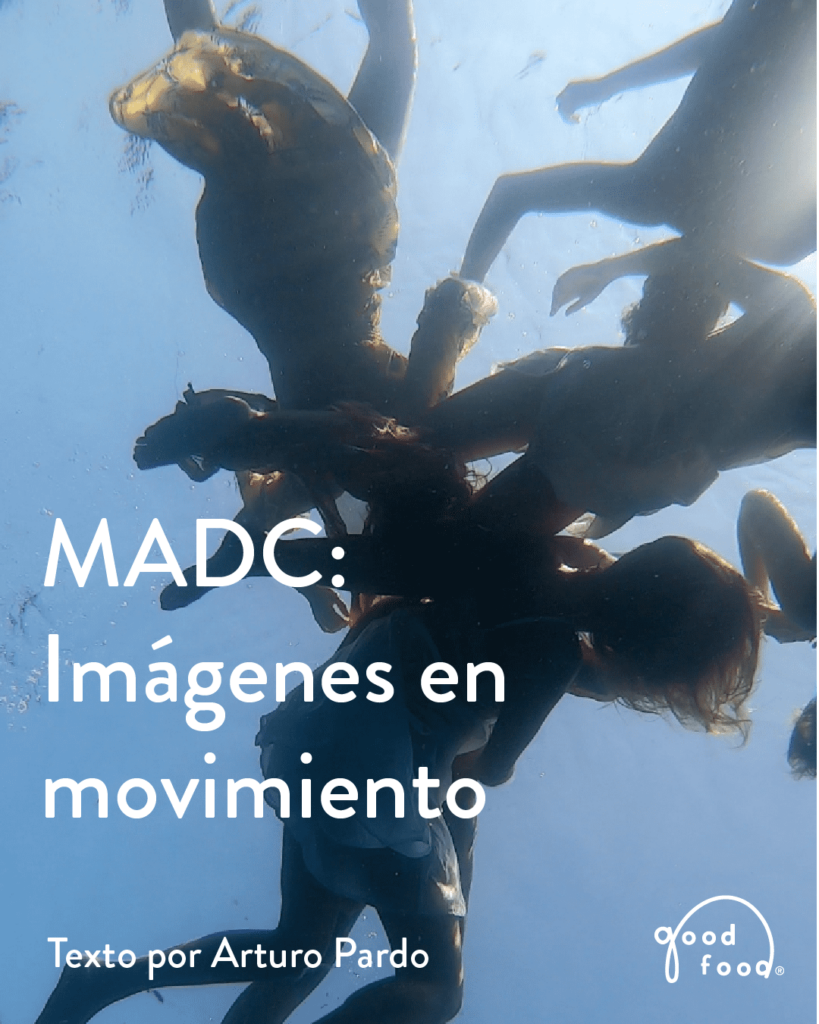 La exposición de más de 38 artistas estará abierta al público en el Museo hasta el 29 de julio.