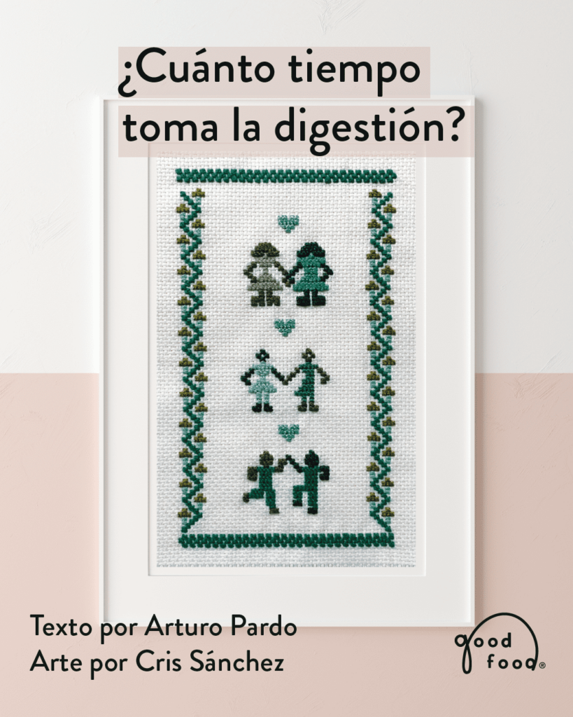 ¿cuánto tiempo toma la digestión?