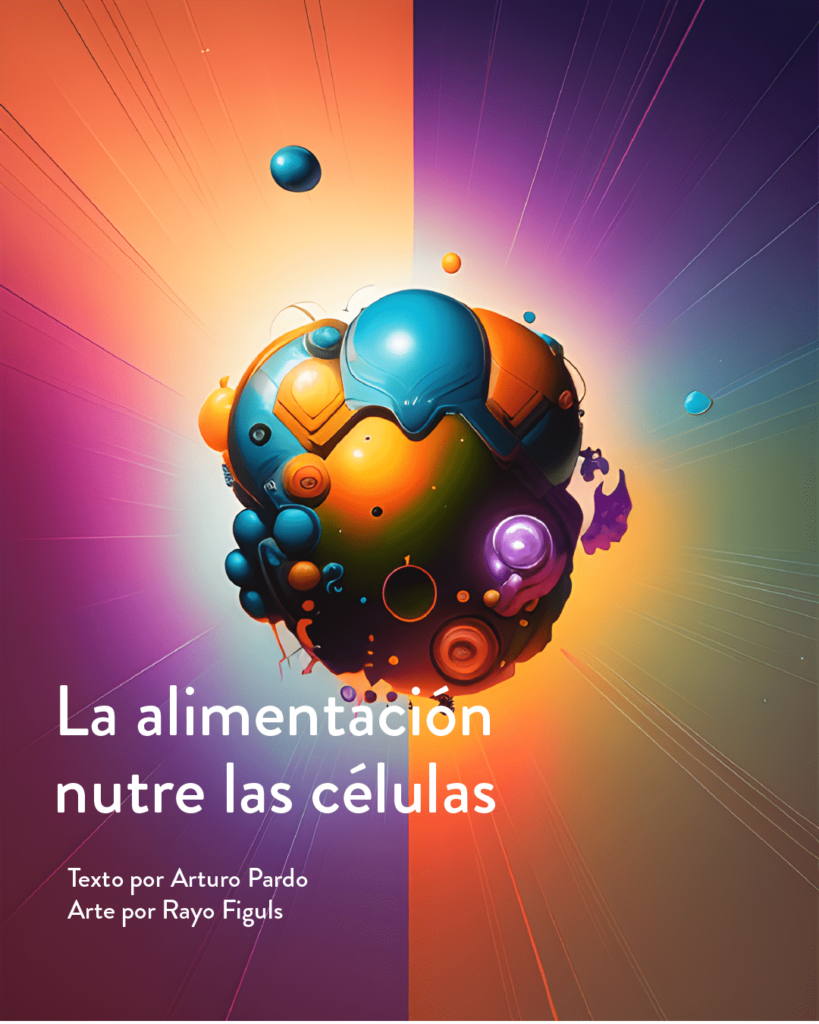 La alimentación nutre las células.